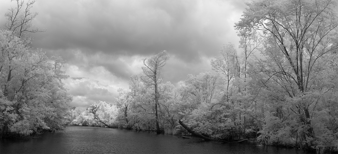 Infrared Panorama of a Channel Through a Southern American Swamp.